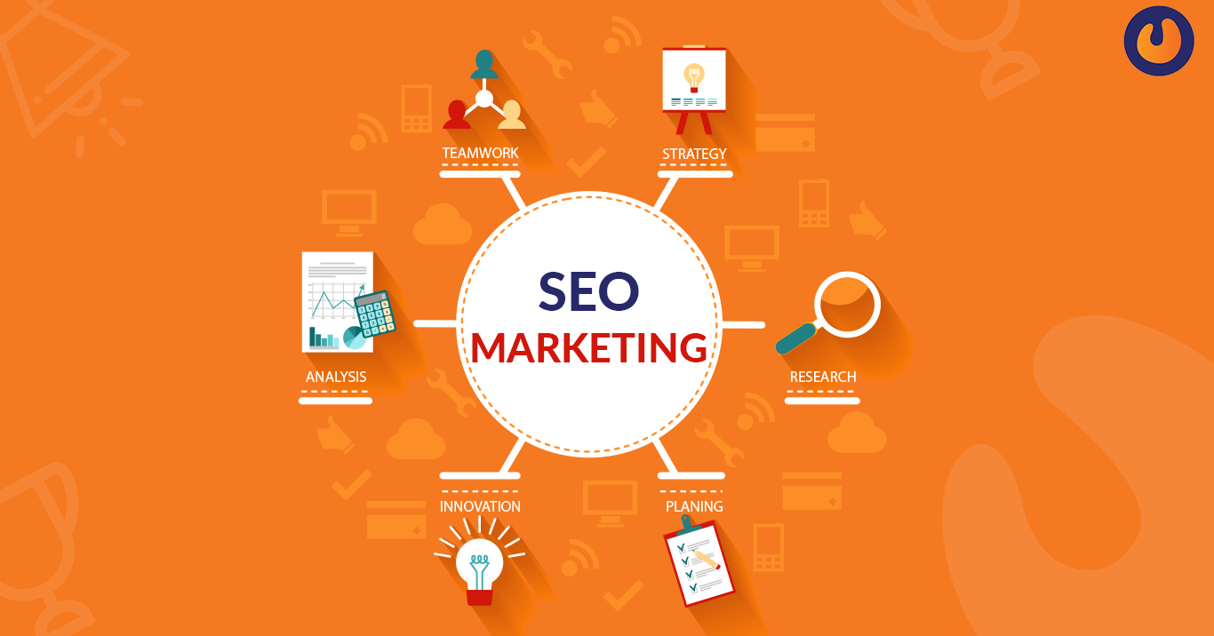 Walnut Creek Marketing & SEO Agency